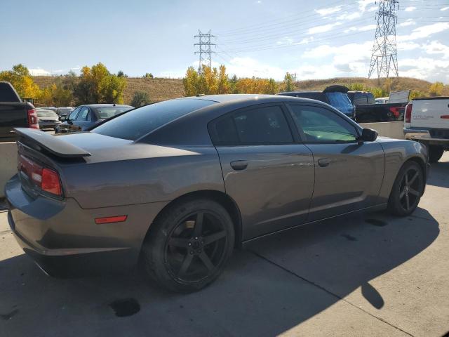 VIN 2C3CDXHG3EH359832 2014 Dodge Charger, Sxt no.3