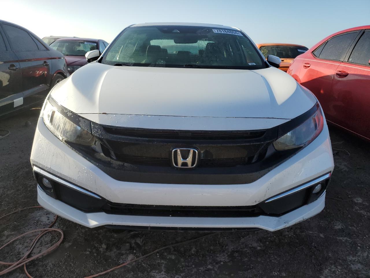 Lot #2976942027 2021 HONDA CIVIC EXL