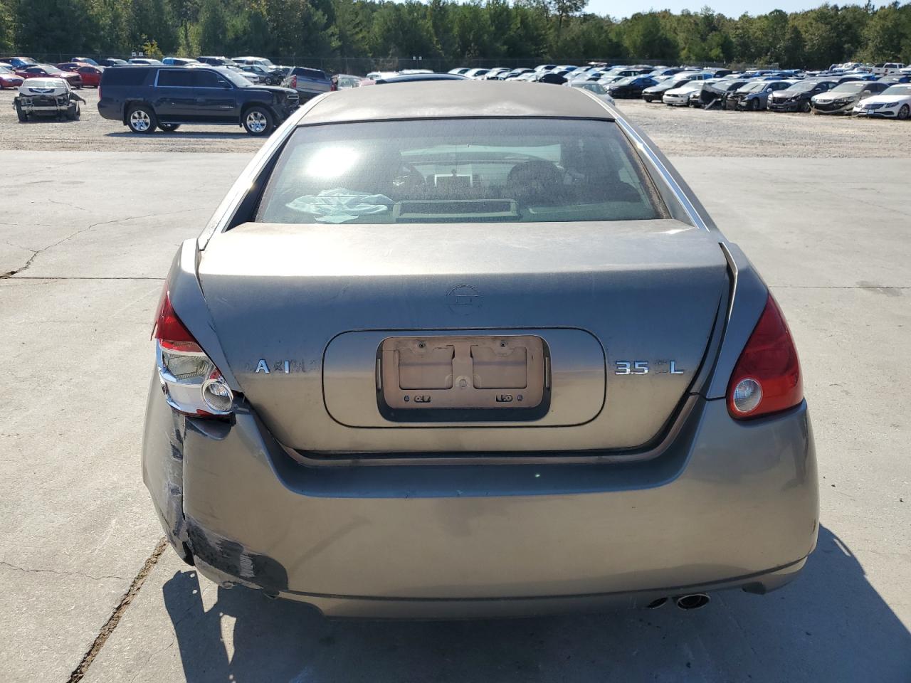 Lot #3003932500 2005 NISSAN MAXIMA SE