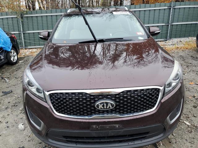 VIN 5XYPG4A5XGG073330 2016 KIA Sorento, LX no.5