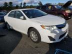 TOYOTA CAMRY L photo