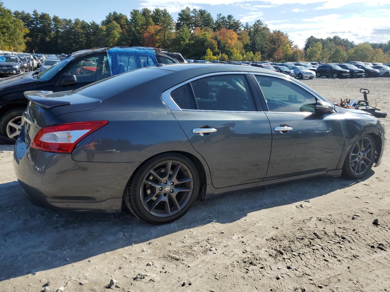 Lot #2935877997 2011 NISSAN MAXIMA S