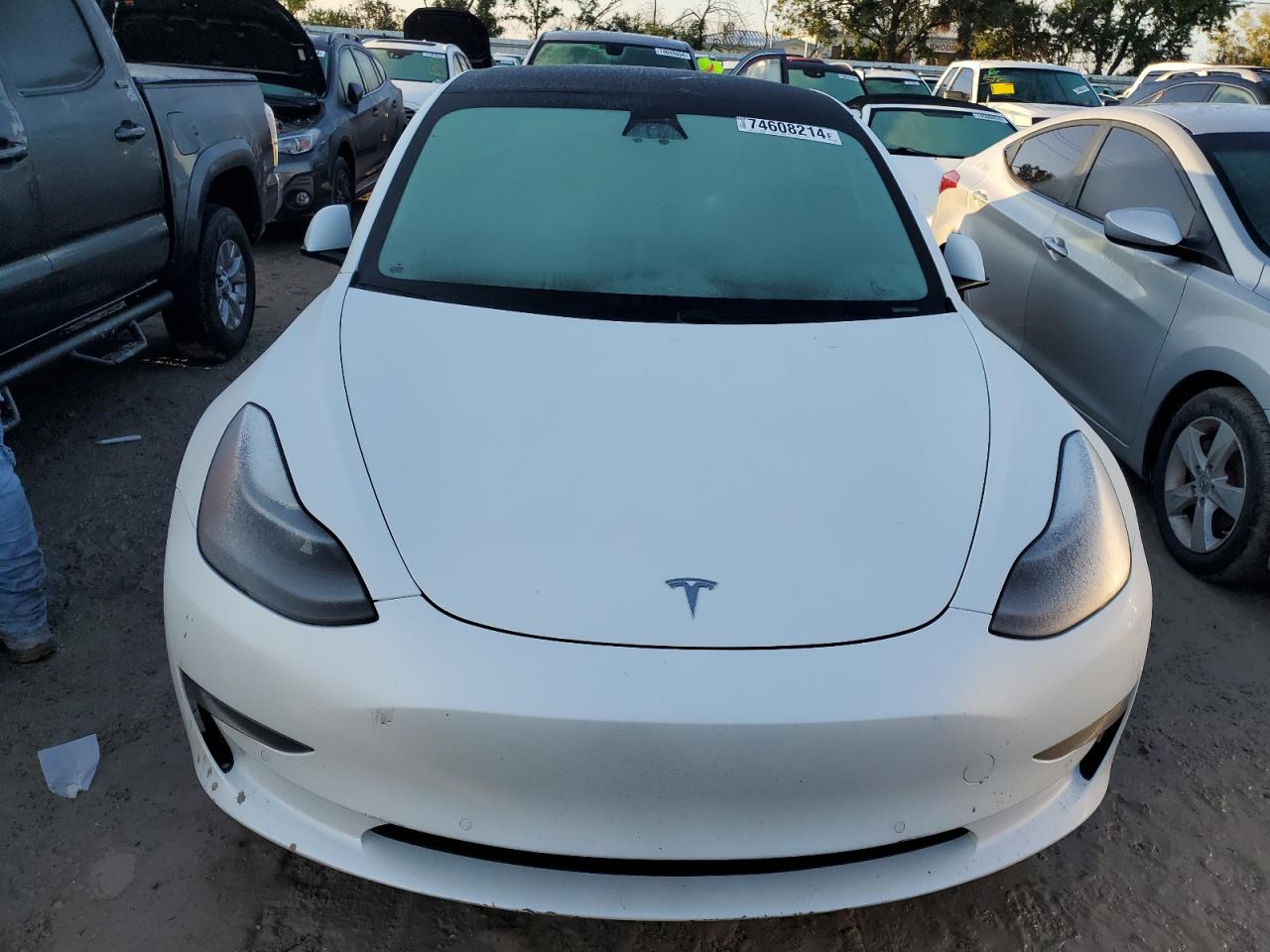 Lot #2955589838 2021 TESLA MODEL 3