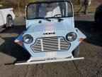 Lot #2952217026 2020 MOKE CRUISER