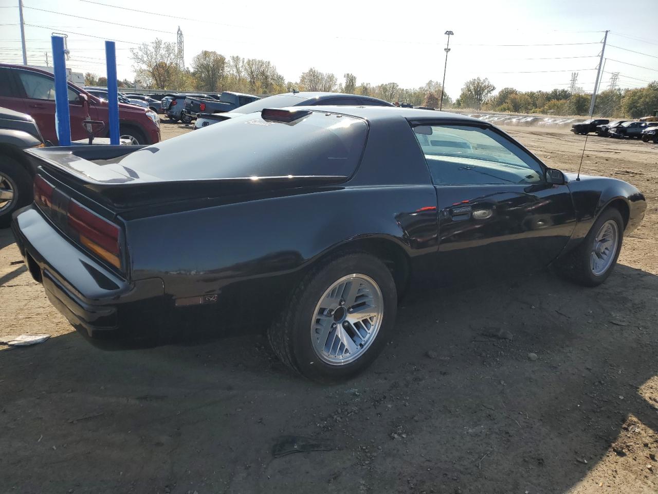 Lot #2923314541 1989 PONTIAC FIREBIRD B