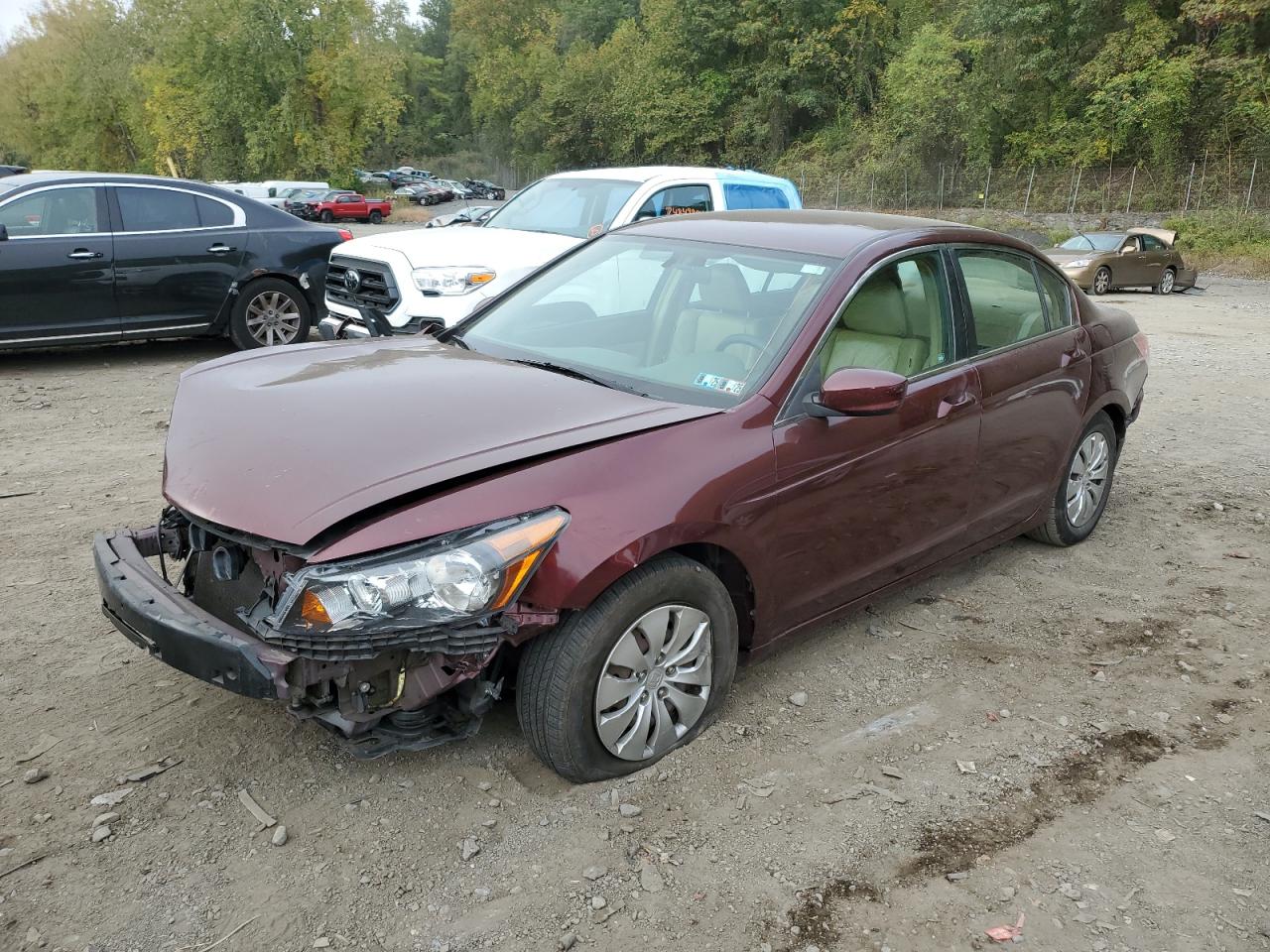 Lot #3028496913 2009 HONDA ACCORD LX