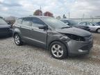 FORD ESCAPE SE снимка