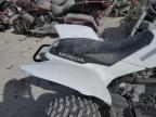 HONDA TRX250X снимка