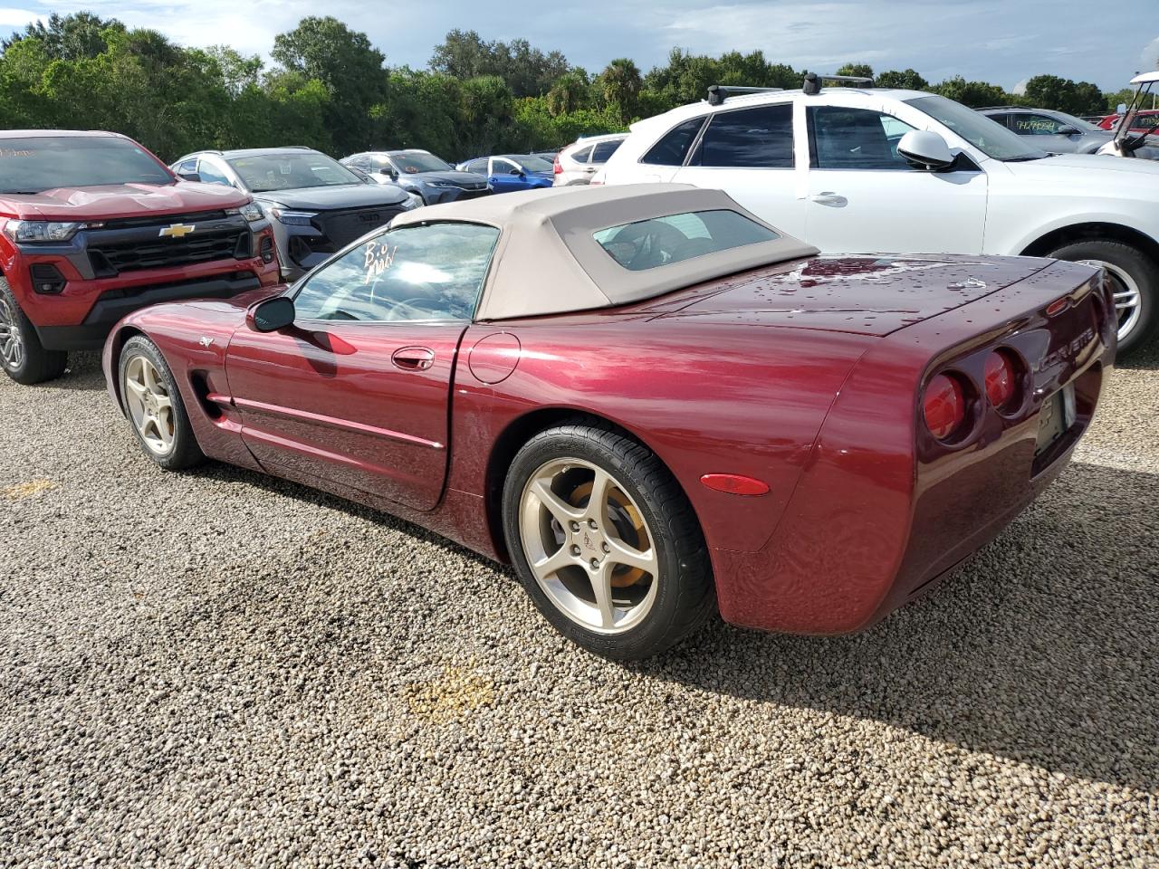 Lot #2989157737 2003 CHEVROLET CORVETTE