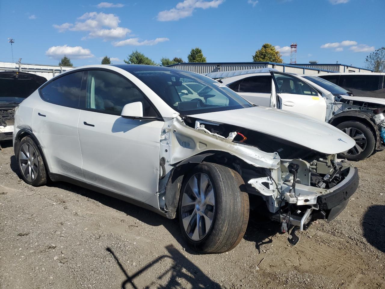 Lot #2962553818 2022 TESLA MODEL Y