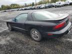 Lot #3004300722 1995 PONTIAC FIREBIRD