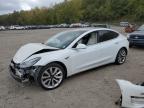 Lot #3024583656 2020 TESLA MODEL 3