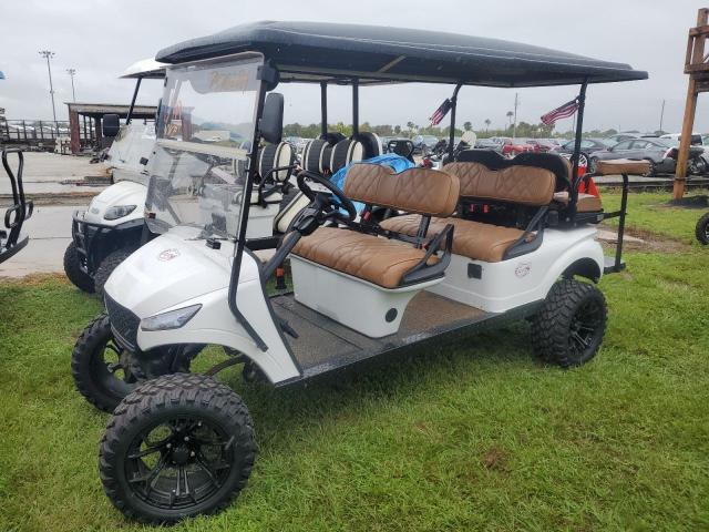 ASPT GOLF CART 2024 white   FLA130636 photo #3