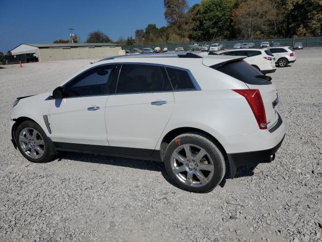 CADILLAC SRX PERFOR 2011 white 4dr spor gas 3GYFNBEYXBS516927 photo #3