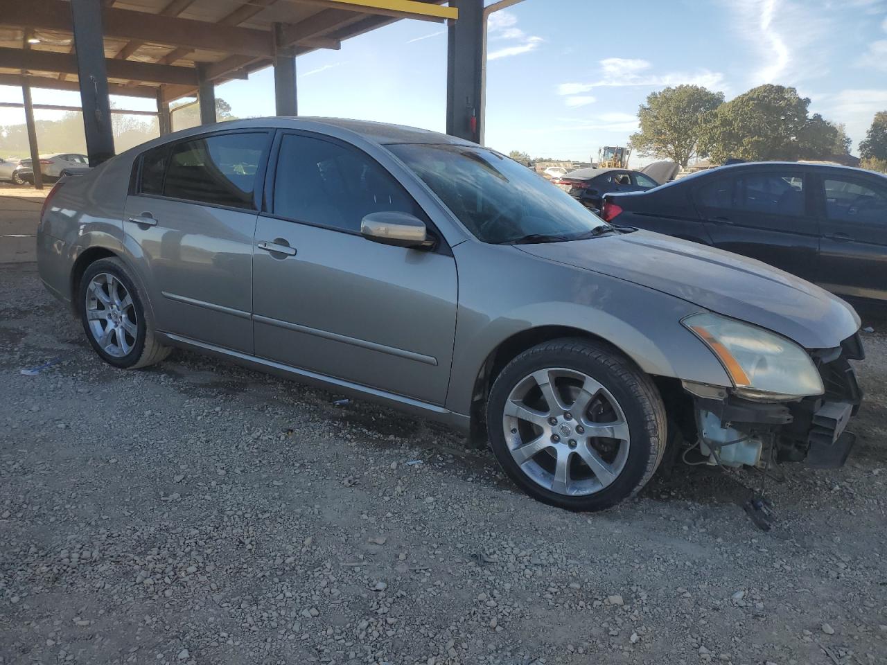 Lot #2986949023 2007 NISSAN MAXIMA SE