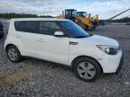 KIA SOUL photo