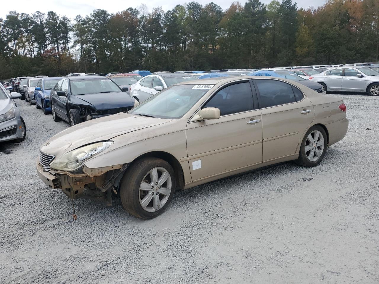 Lot #2952941771 2005 LEXUS ES 330