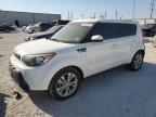 KIA SOUL + photo