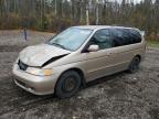 HONDA ODYSSEY EX photo