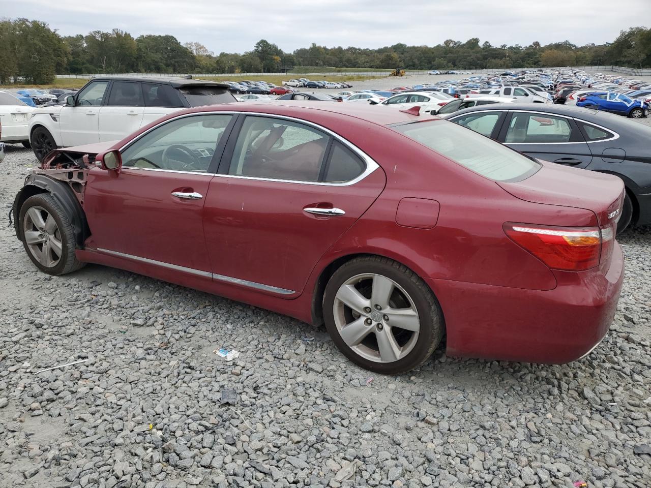 Lot #2938401796 2010 LEXUS LS 460