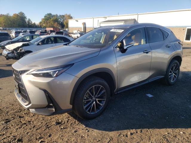 2024 LEXUS NX 350 BAS #2979112981