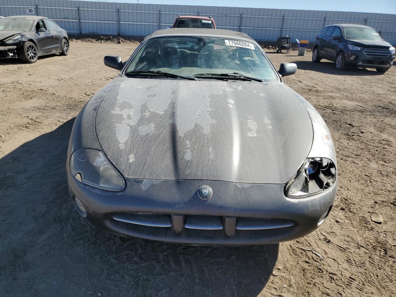 Lot #2928726727 2004 JAGUAR XK8