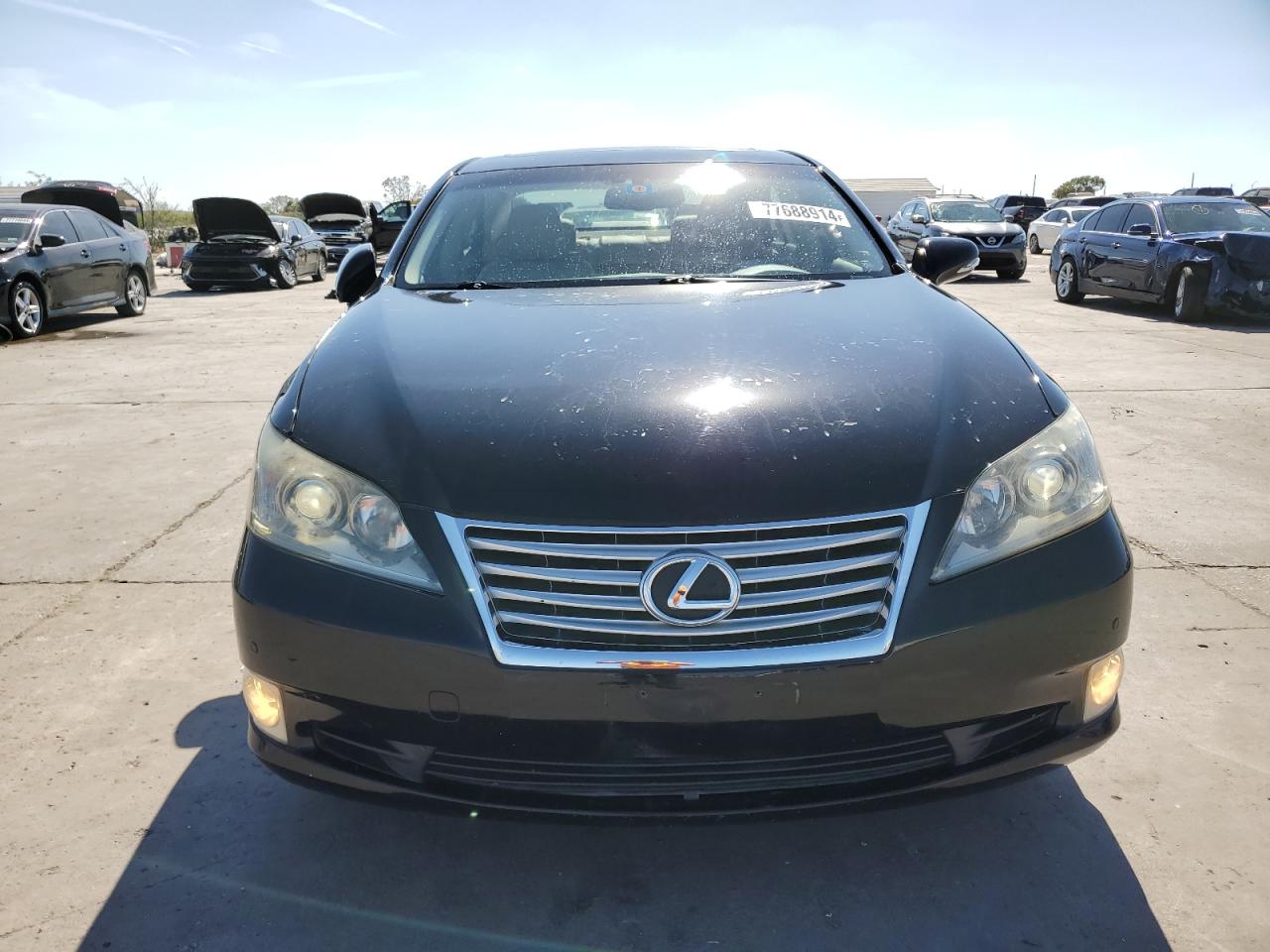 Lot #2986692181 2010 LEXUS ES 350