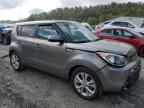 KIA SOUL + photo