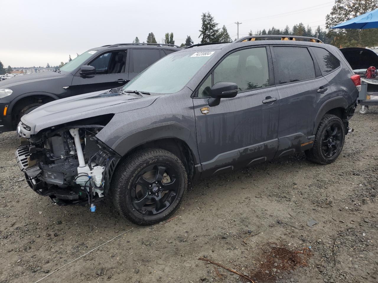 Lot #2991238099 2023 SUBARU FORESTER W