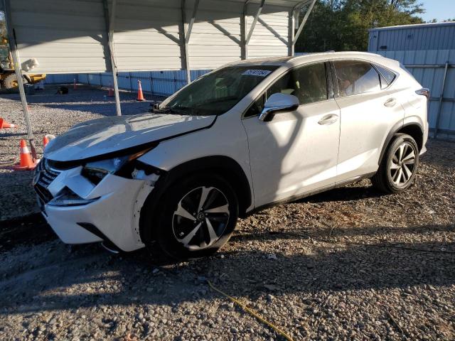 2019 LEXUS NX 300 BAS #2960233391