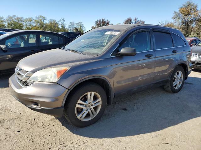 HONDA CR-V EX 2011 gray  gas 5J6RE4H52BL006538 photo #1