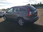 HONDA CR-V EX photo