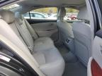 LEXUS ES 350 photo