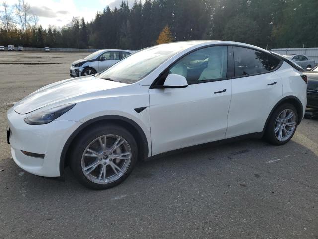 2023 TESLA MODEL Y #2989373689