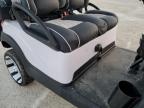 Lot #3027162332 2019 ASPT GOLF CART