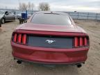 FORD MUSTANG photo