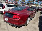 FORD MUSTANG photo