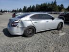 NISSAN MAXIMA S photo