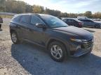 Lot #3024733218 2023 HYUNDAI TUCSON SEL