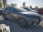 LEXUS NX 300 BAS снимка