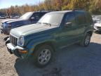 JEEP LIBERTY LI photo