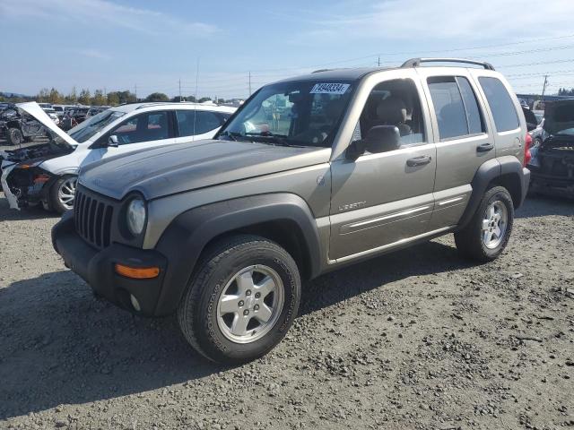 2004 JEEP LIBERTY LI #2893465593