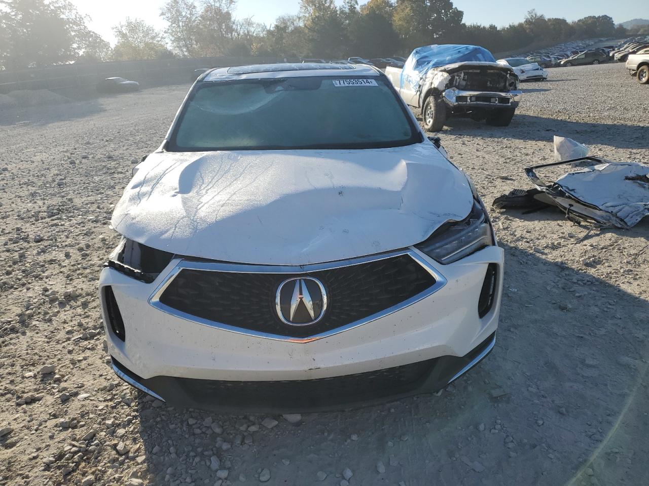 Lot #2977016601 2024 ACURA RDX