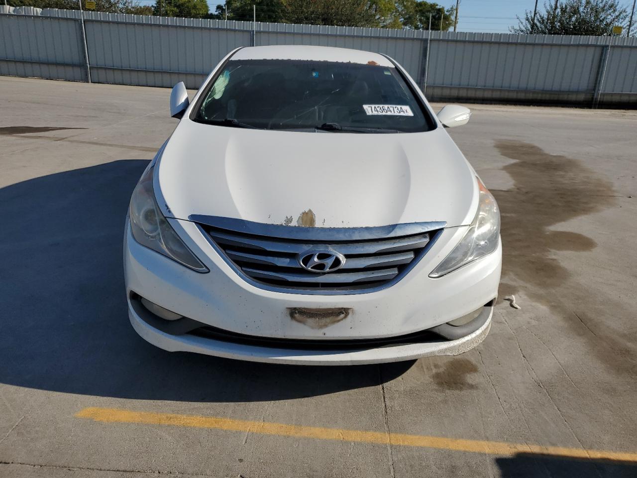 Lot #2970024884 2014 HYUNDAI SONATA SE