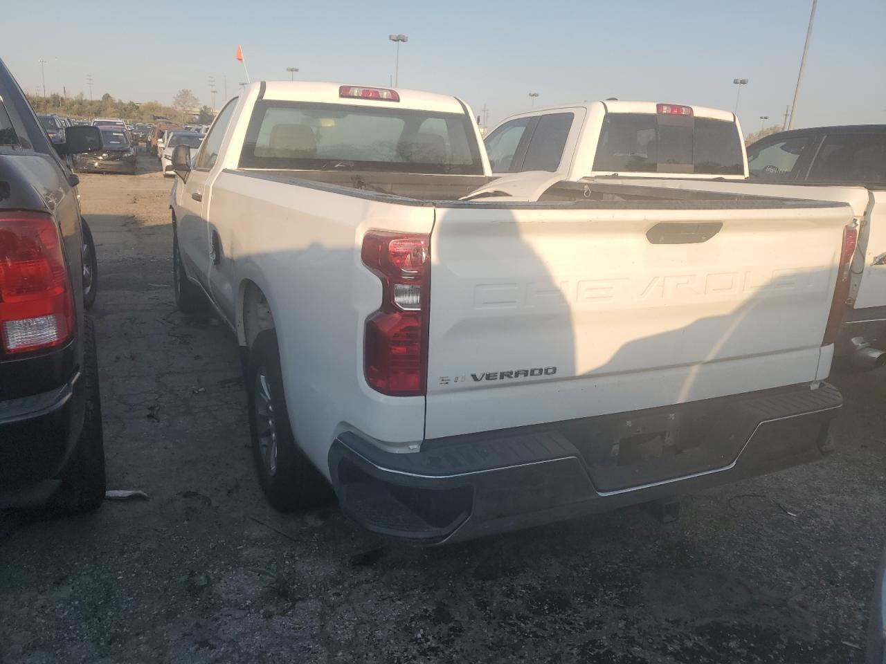 Lot #2989187612 2020 CHEVROLET SILVERADO