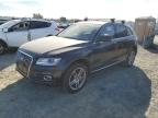 Lot #3020358466 2014 AUDI Q5 PREMIUM