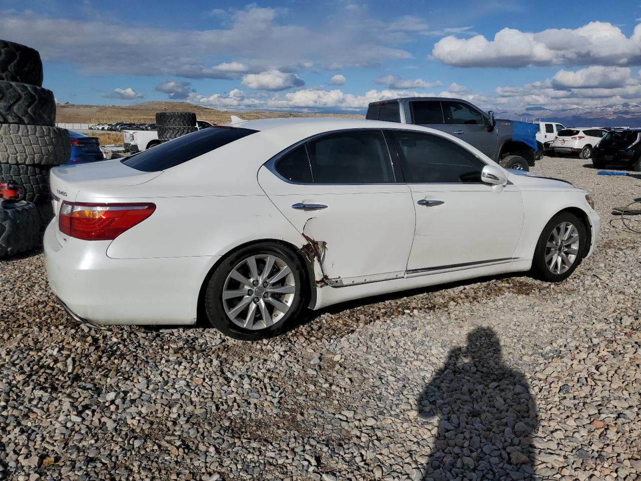 Lot #2960414115 2010 LEXUS LS 460