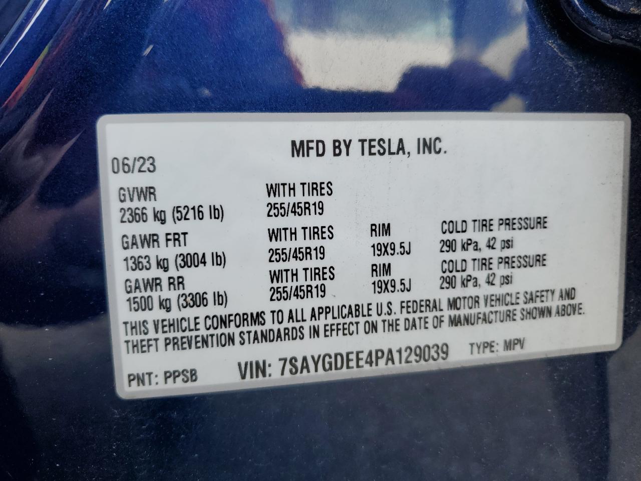 Lot #2986928846 2023 TESLA MODEL Y