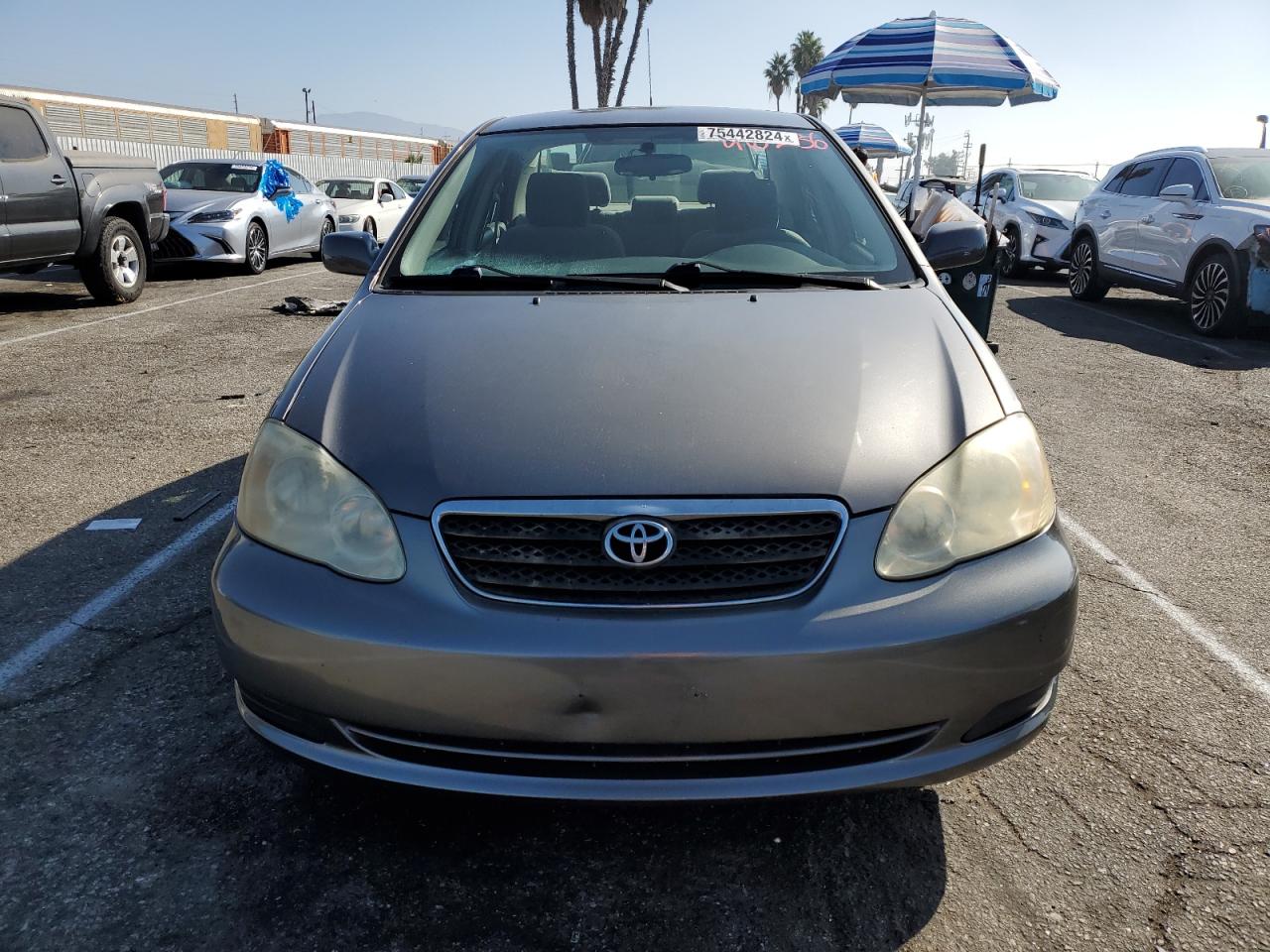 Lot #2960101039 2006 TOYOTA COROLLA CE