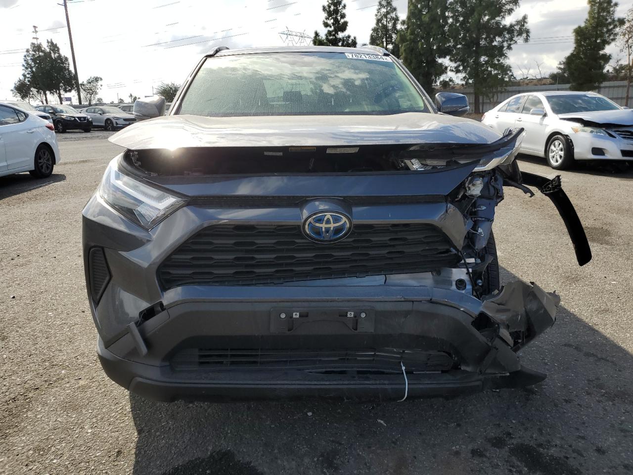 Lot #3029418703 2024 TOYOTA RAV4 XLE